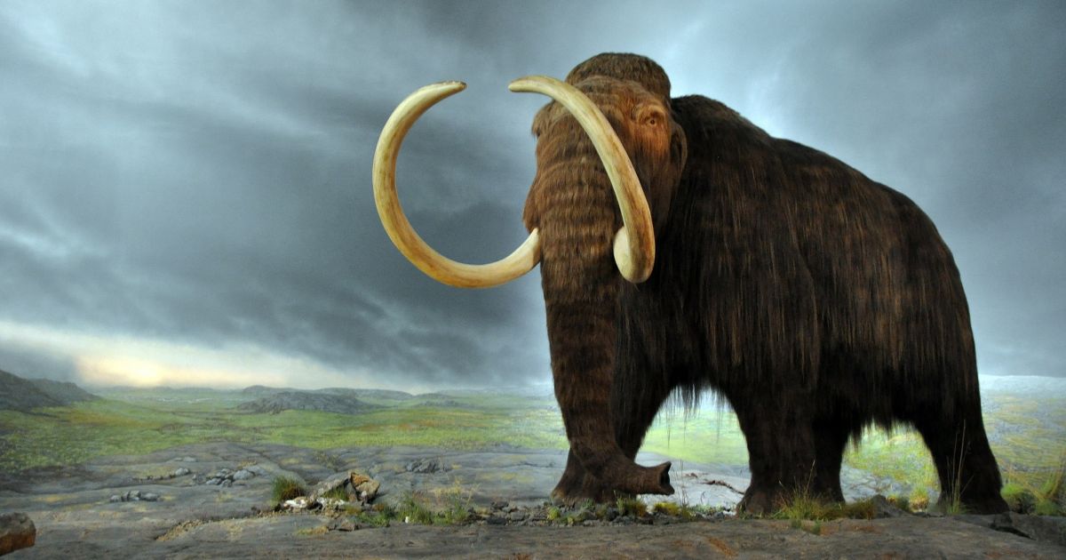 bioPGH Blog: Woolly Mammoths in the News | Phipps Conservatory and