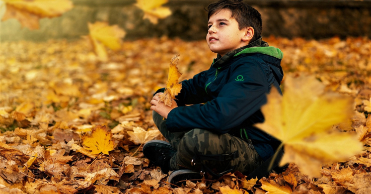 #bioPGH Blog: Leaves and Memories #bioPGH Blog: Leaves and Memories
