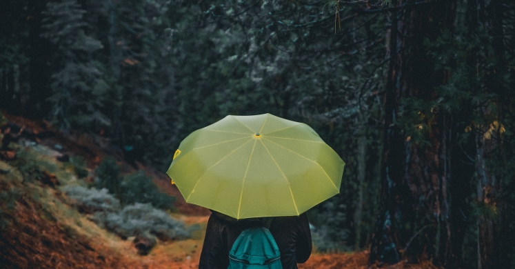 #bioPGH Blog: A Rainy Walk on a Spring Evening