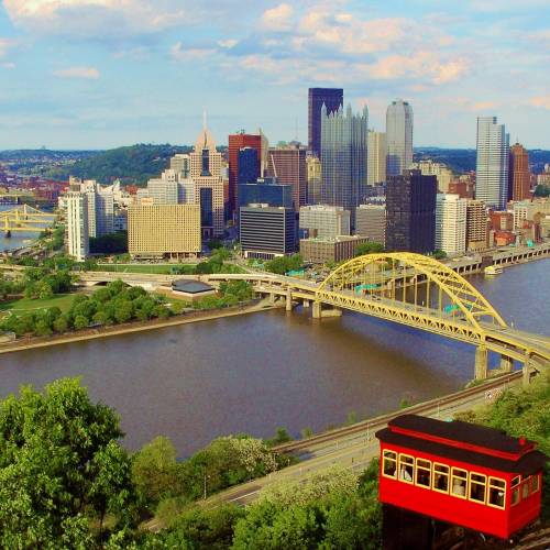 #bioPGH Blog: The Trees of Pittsburgh