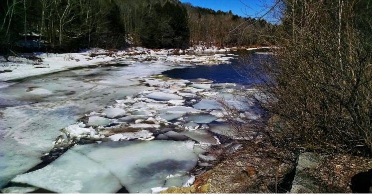 #bioPGH Blog: Icy Explorations