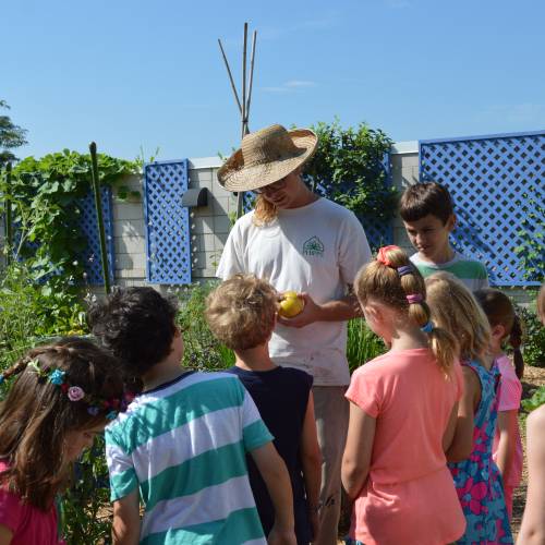 Summer Camp Recap: Urban Gardeners
