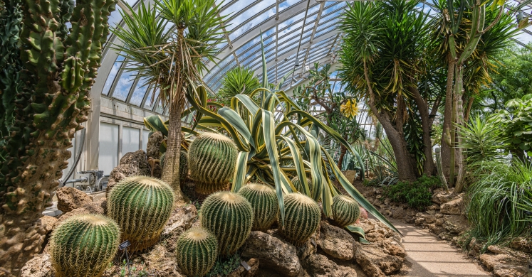 This Week at Phipps: July 1 – 7 This Week at Phipps: July 1 – 7