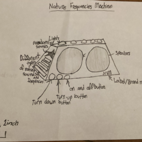 Fairchild Challenge at Phipps: Challenge #3 Winners Announced!