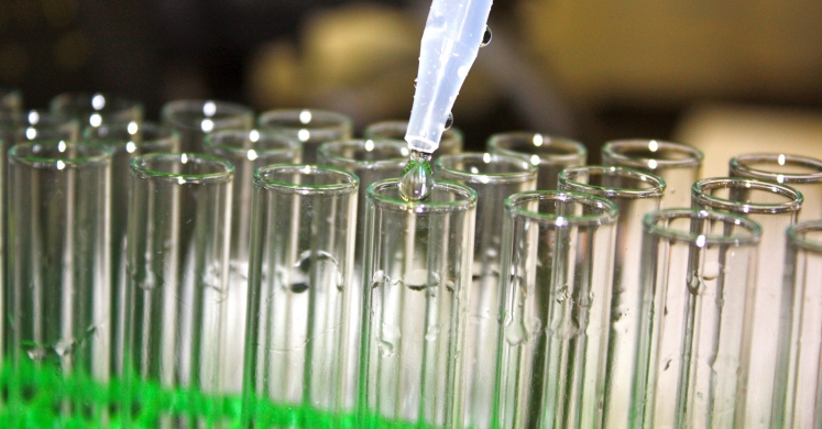 Meet a Scientist: Alyssa Lypson Meet a Scientist: Alyssa Lypson