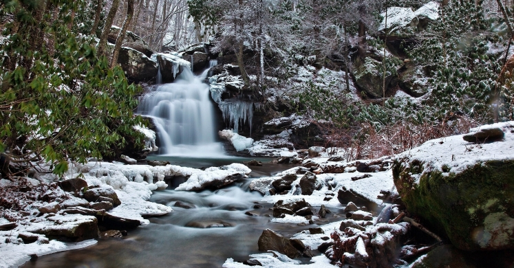 #bioPGH Blog: All in a Day’s Ecosystem Service! #bioPGH Blog: All in a Day’s Ecosystem Service!