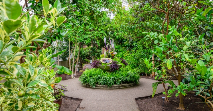This Week at Phipps: June 25 – July 1 This Week at Phipps: June 25 – July 1