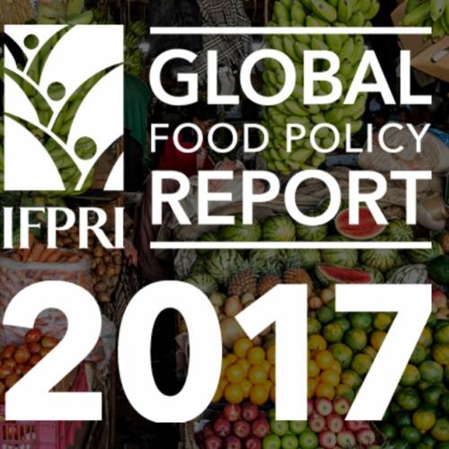 Policy Update: Snapshot of the Global Food Policy Report