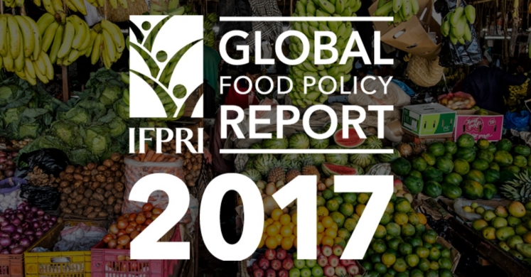 Policy Update: Snapshot of the Global Food Policy Report Policy Update: Snapshot of the Global Food Policy Report
