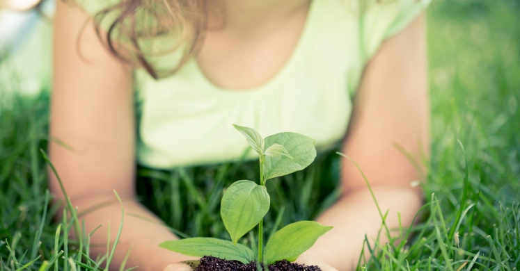 Ask Ginger: Earth Day Ask Ginger: Earth Day