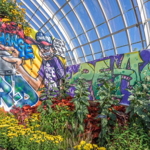 The Glasshouse Gains Graffiti