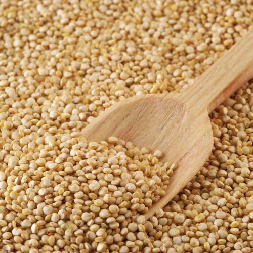 Ask Ginger: Importance of Fiber