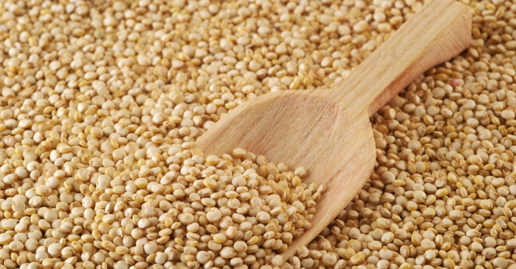 Ask Ginger: Importance of Fiber Ask Ginger: Importance of Fiber