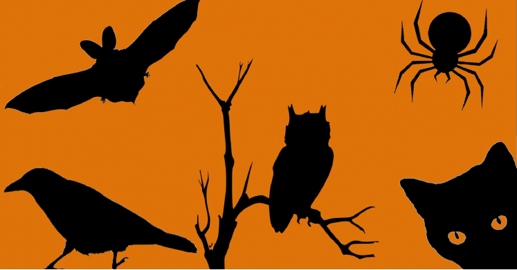 #bioPGH Blog: The Not-So-Creepy Creatures of Halloween #bioPGH Blog: The Not-So-Creepy Creatures of Halloween