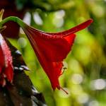 This Week at Phipps Feb. 27 –  March. 5