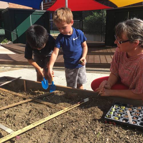 Health in Motion: St. Edmund’s Academy Garden