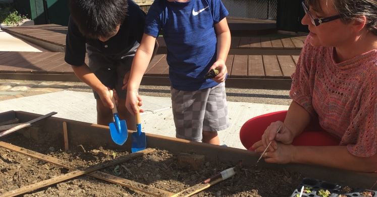 Health in Motion: St. Edmund’s Academy Garden