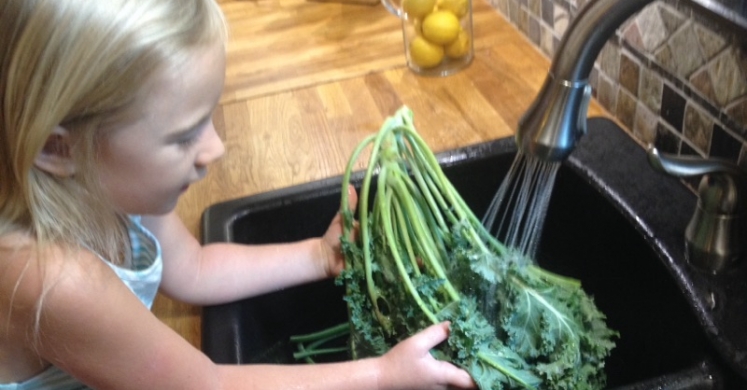 Ask Ginger: Kitchen Safety Ask Ginger: Kitchen Safety