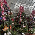 Fairchild Challenge at Phipps: Challenge #1 Winners Announced!