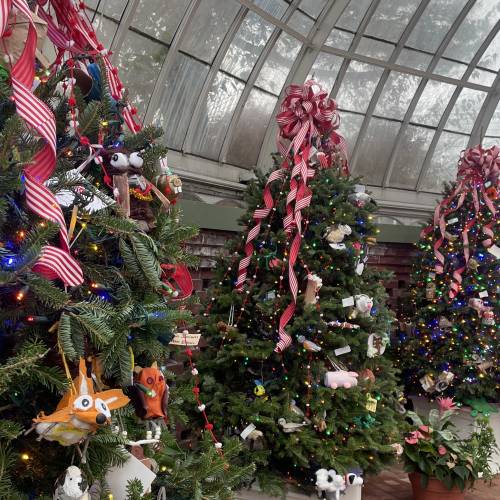 Fairchild Challenge at Phipps: Challenge #1 Winners Announced!