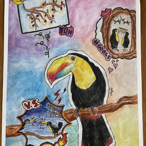 Fairchild Challenge #4 Winners Announced!