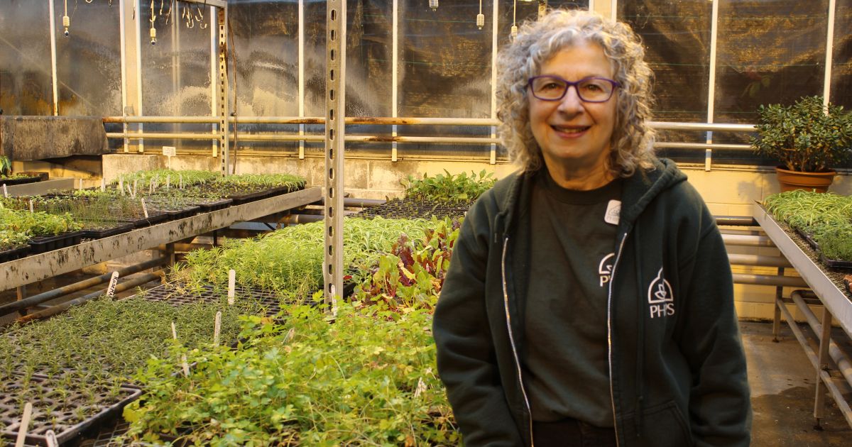 Volunteer Spotlight: Debbie Roth | Phipps Conservatory and Botanical ...