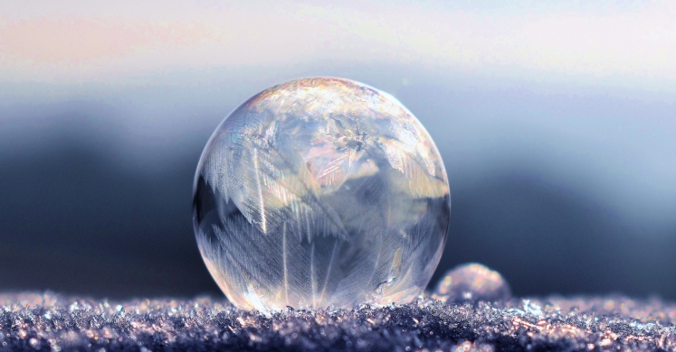 #bioPGH Blog: It’s So Cold! #bioPGH Blog: It’s So Cold!