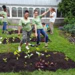 Home | Phipps Conservatory and Botanical Gardens ...