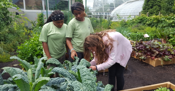 Learning for a Greener Future 2019: Week 4 Learning for a Greener Future 2019: Week 4