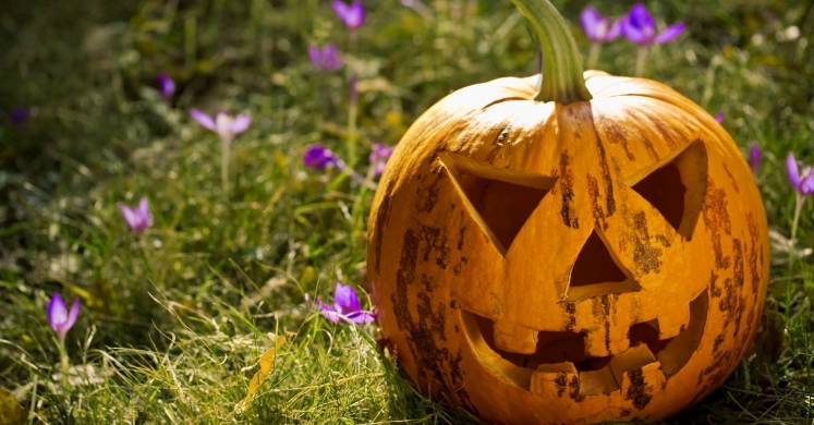 Enter the Healthy Halloween Photo Contest for a Chance to Win a Phipps Family Membership Enter the Healthy Halloween Photo Contest for a Chance to Win a Phipps Family Membership