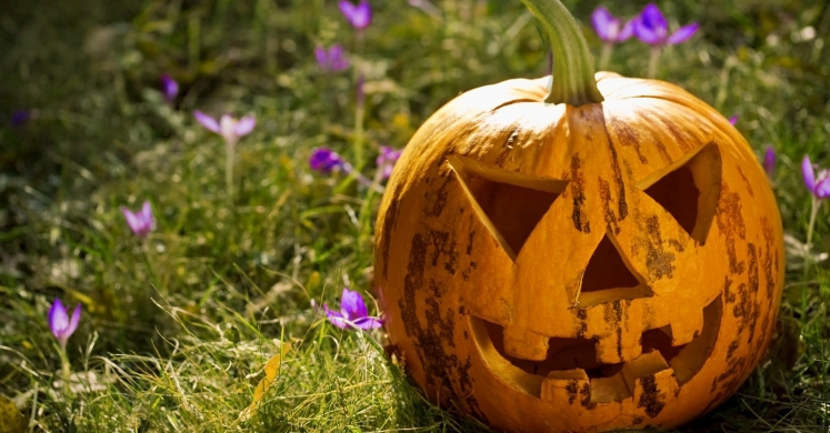 Enter the Healthy Halloween Photo Contest for a Chance to Win a Phipps Family Membership