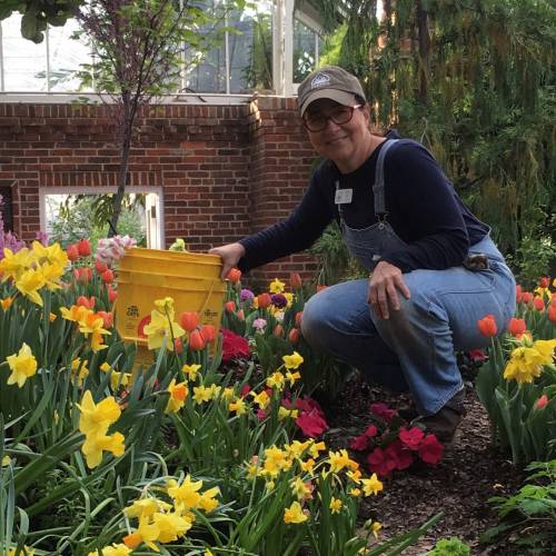 Volunteer Spotlight: Janet Sieff