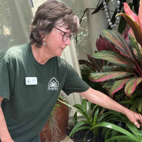 Volunteer Spotlight: Jean Hense