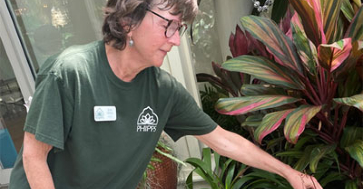 Volunteer Spotlight: Jean Hense Volunteer Spotlight: Jean Hense