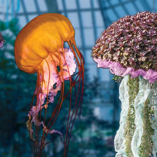 Under the Sea Creations and FINspirations: Jellyfish