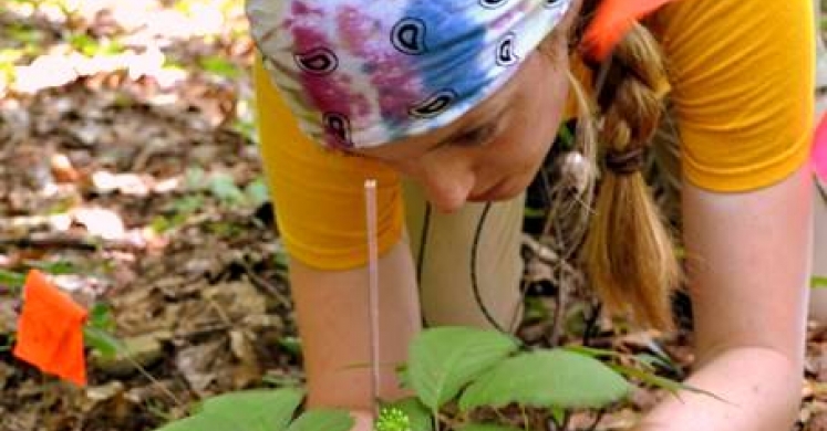 Botany in Action at Phipps