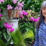 Volunteer Spotlight: Linda Dishart