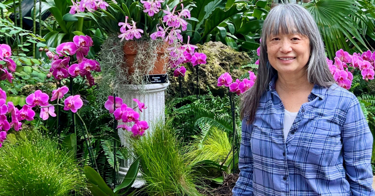 Volunteer Spotlight: Linda Dishart