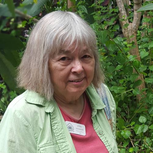 Volunteer Spotlight: Lynn Hawker