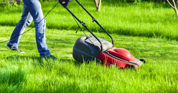 Phipps Continues Commitment to Sustainability With Innovative Lawn Care Practices Phipps Continues Commitment to Sustainability With Innovative Lawn Care Practices