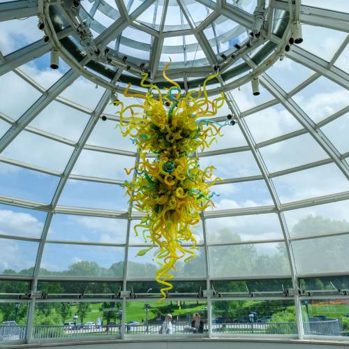 This Week at Phipps: May 23 – 29