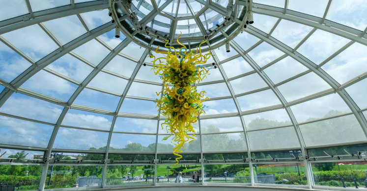 This Week at Phipps: May 23 – 29 This Week at Phipps: May 23 – 29