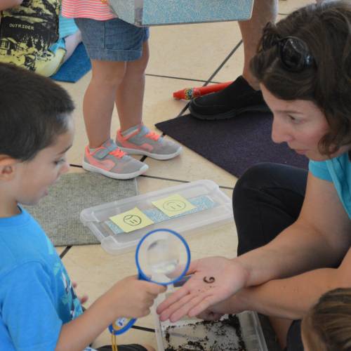 Summer Camp Recap: Wonderful Worms