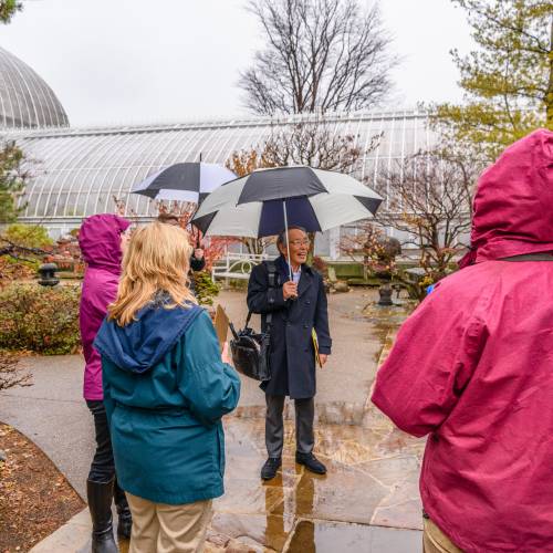 Beautiful Enhancements in Progress at Phipps Conservatory’s Japanese Courtyard Garden