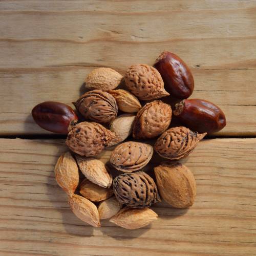 Ask Ginger: High Fat Content in Nuts