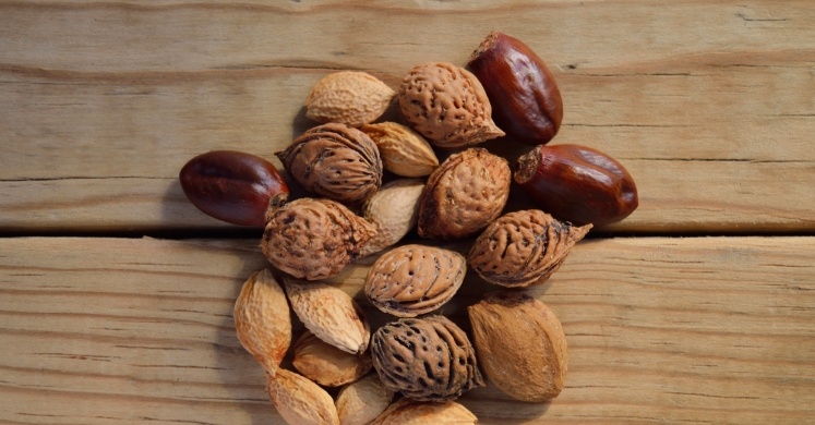 Ask Ginger: High Fat Content in Nuts Ask Ginger: High Fat Content in Nuts