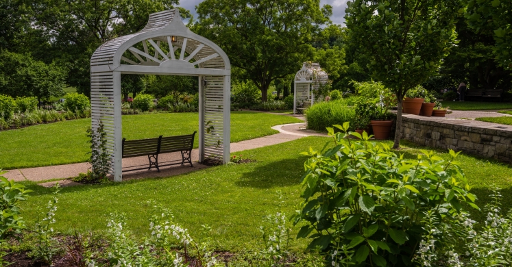 This Week at Phipps: June 11 – June 17 This Week at Phipps: June 11 – June 17