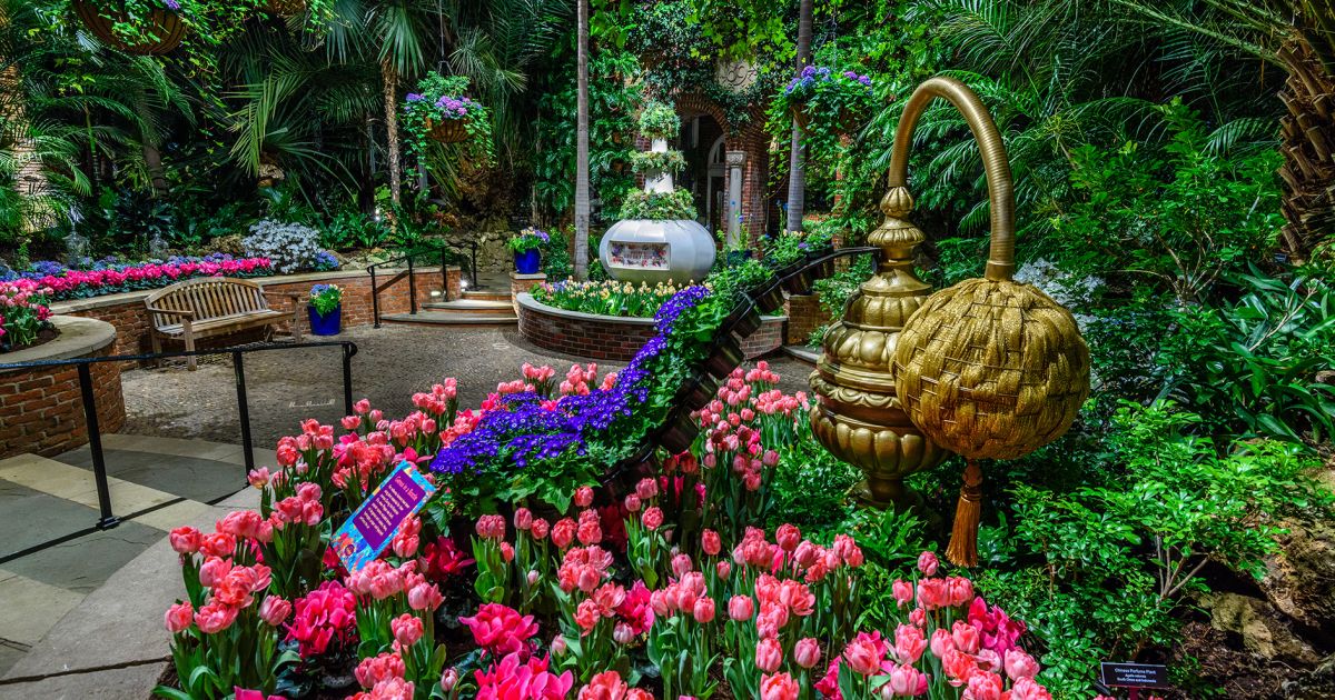 This Week at Phipps: April 2 8 Phipps Conservatory and Botanical