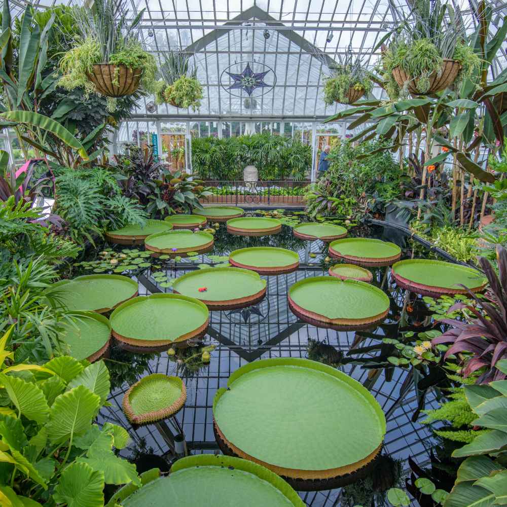 Fairchild Challenge at Phipps: Challenge #4 Winners Announced