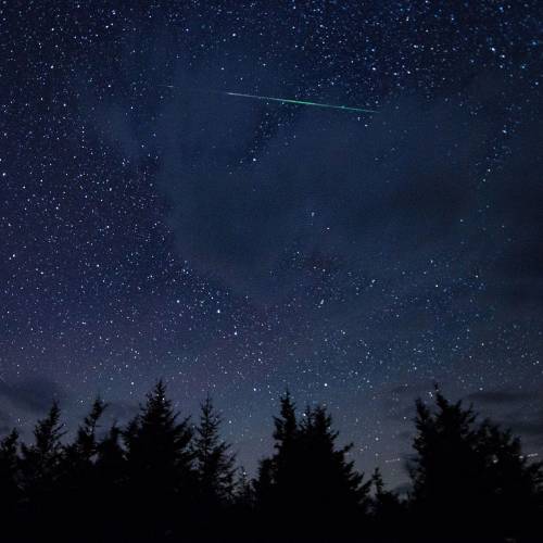 #bioPGH Blog: Perseid Meteor Shower